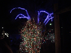 009 Toledo Zoo Light Show [2008 Dec 27]